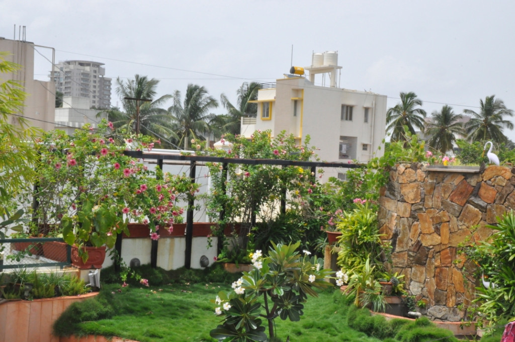 Terrace Landscape India
 YOUR VIEW Here Is How You Can Create A Tiny Organic Farm
