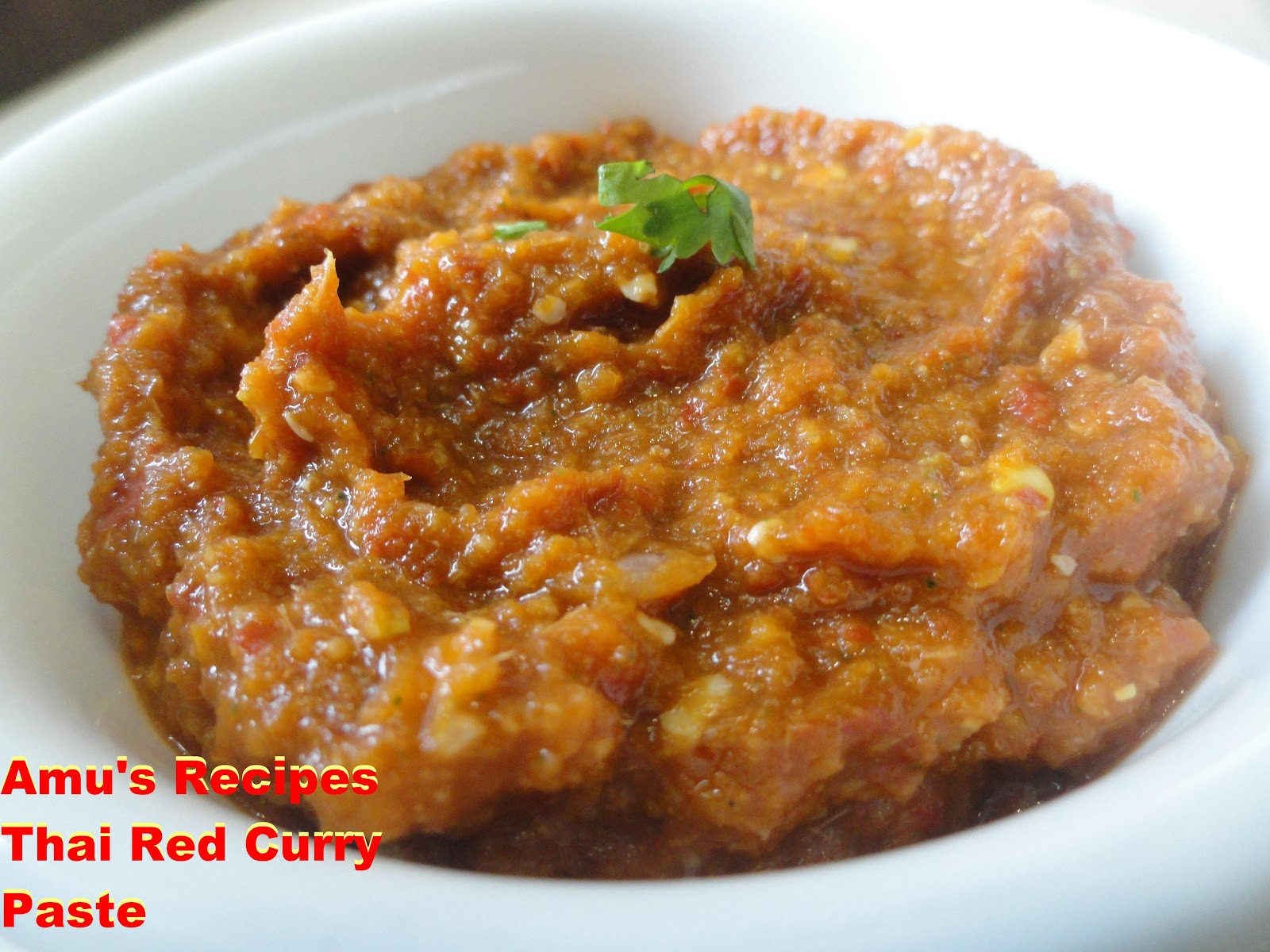Thai Red Curry Sauce Recipes
 AMU S RECIPES Thai Red Curry Paste