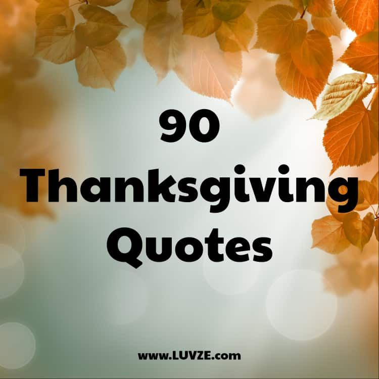 Thanksgiving Quotes Aesthetic
 90 Happy Thanksgiving Quotes Sayings And Messages