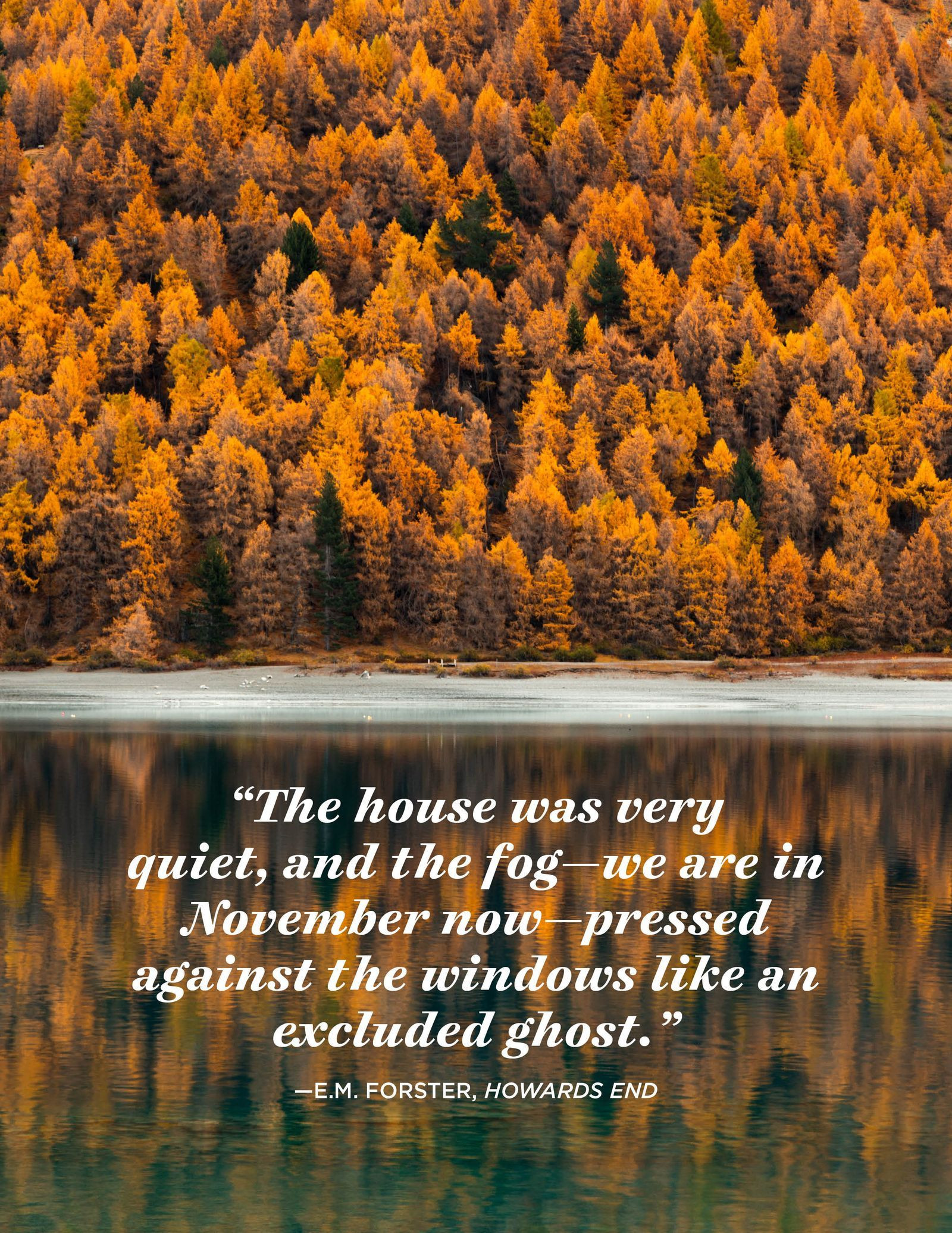 Thanksgiving Quotes Aesthetic
 20 November Quotes That Will Make You Thankful for Fall