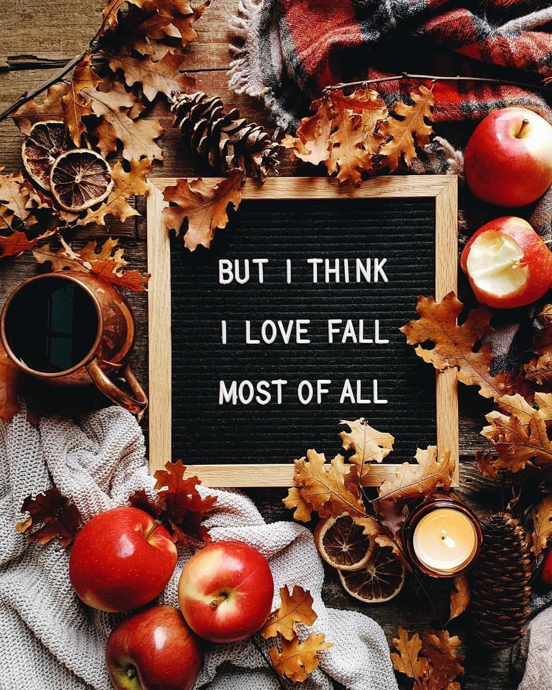 Thanksgiving Quotes Aesthetic
 Pin on Fall Mood Board