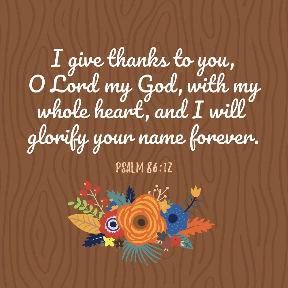 Thanksgiving Quotes Bible
 76 Thanksgiving Bible Verses With & Best Scriptures