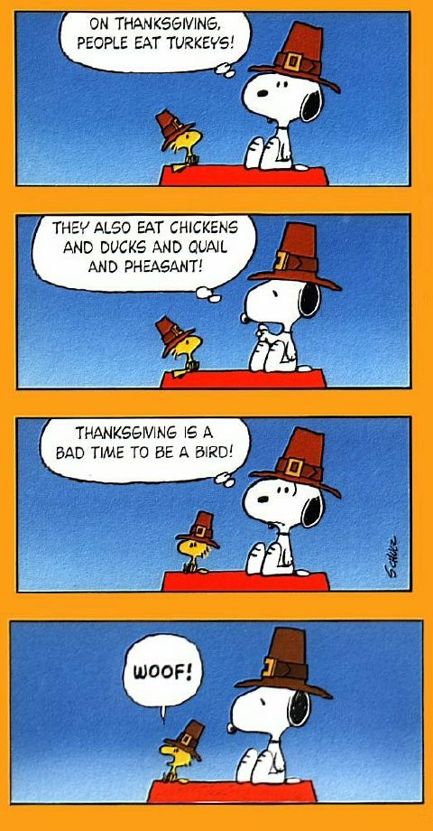 Thanksgiving Quotes Charlie Brown
 A Humorous Thanksgiving From Flower Shop Network