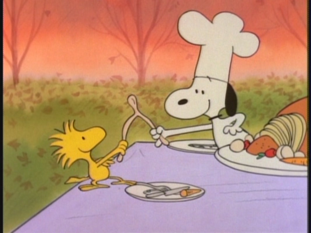 Thanksgiving Quotes Charlie Brown
 Charlie Brown Thanksgiving Quotes QuotesGram