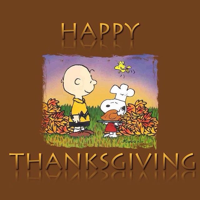 Thanksgiving Quotes Charlie Brown
 Thanksgiving Snoopy And Charlie Brown s