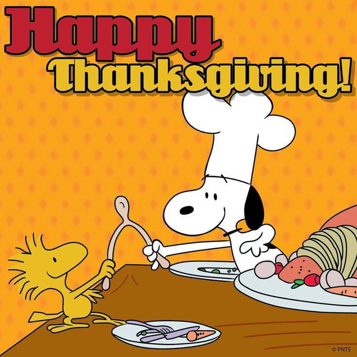 Thanksgiving Quotes Charlie Brown
 89 best Snoopy Thanksgiving images on Pinterest