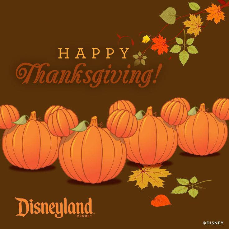 Thanksgiving Quotes Disney
 29 best Disney Thanksgiving images on Pinterest