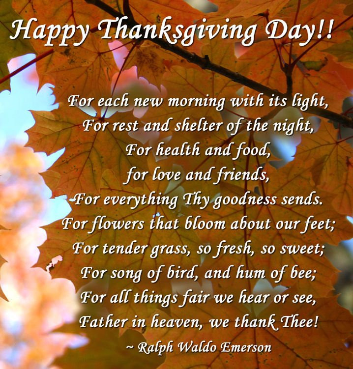 Thanksgiving Quotes Friendship
 2020 Happy Thanksgiving Quotes