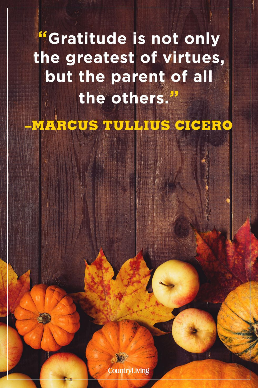 Thanksgiving Quotes Friendship
 90 Famous "Happy Thanksgiving Quotes" for Friends and Family