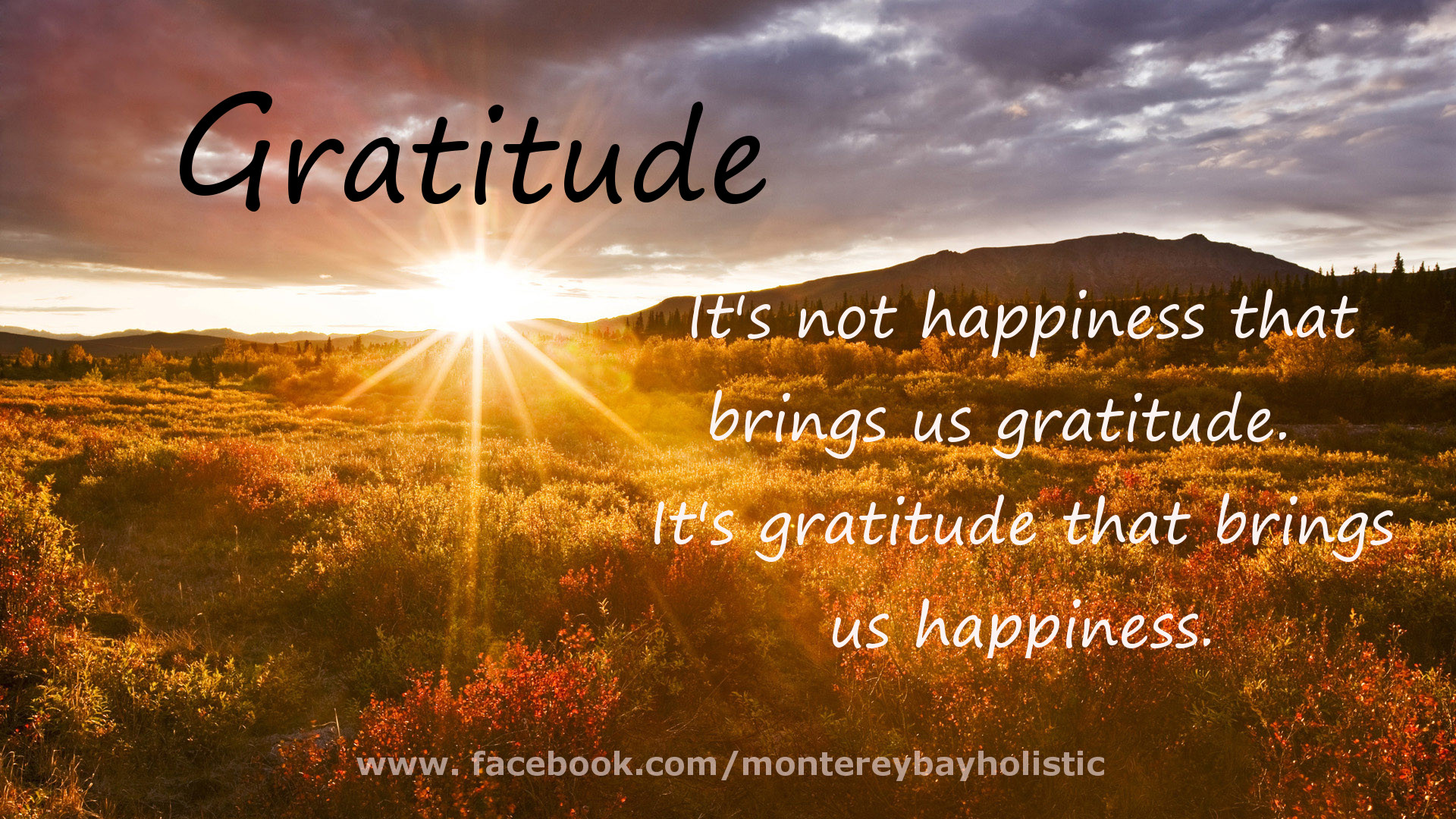 Thanksgiving Quotes Gratitude
 20 Best Gratitude Quotes