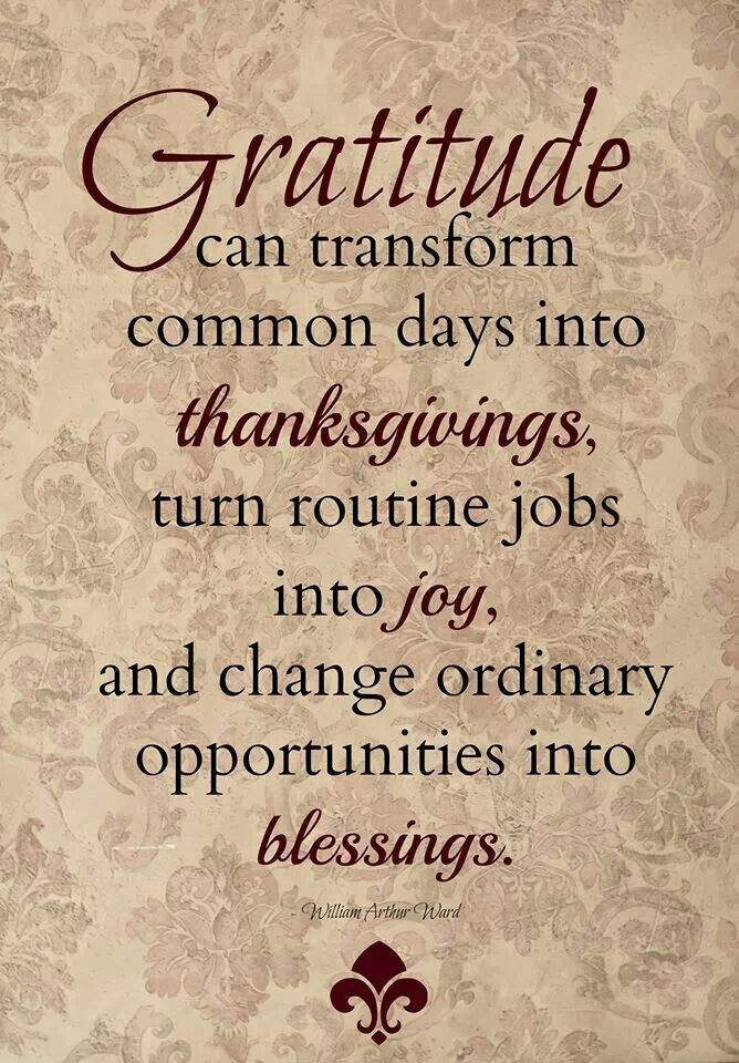 Thanksgiving Quotes Gratitude
 Gratitude Quotes Thanksgiving QuotesGram