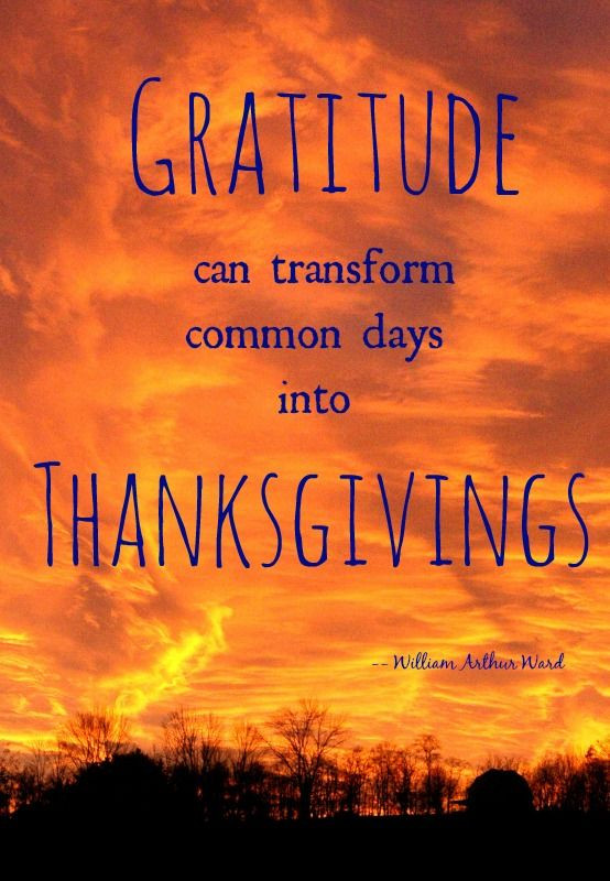 Thanksgiving Quotes Gratitude
 thanksgiving