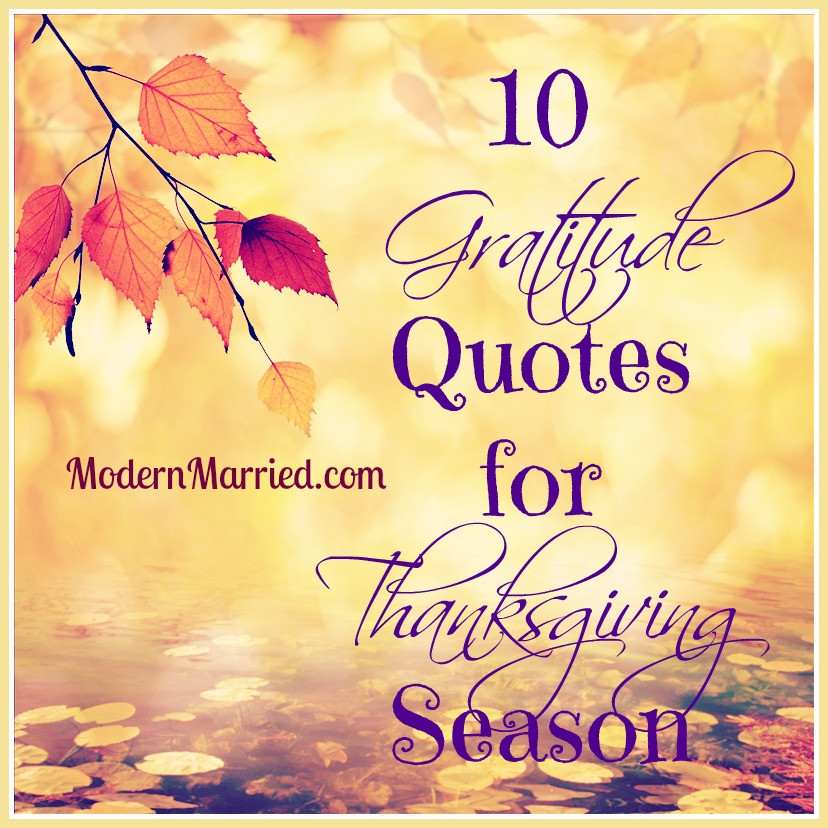 Thanksgiving Quotes Gratitude
 10 Gratitude Quotes for Thanksgiving Season