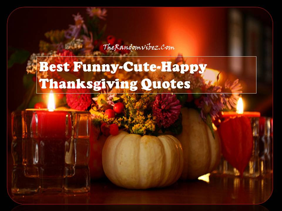 Thanksgiving Quotes Hilarious
 Best Funny Cute Happy Thanksgiving Quotes