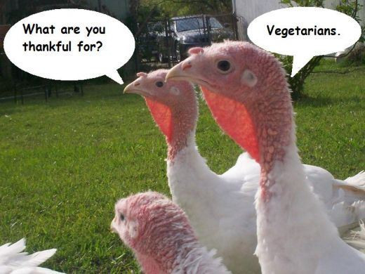 Thanksgiving Quotes Hilarious
 Friday Funnies – Thanksgiving and Fowl Weather