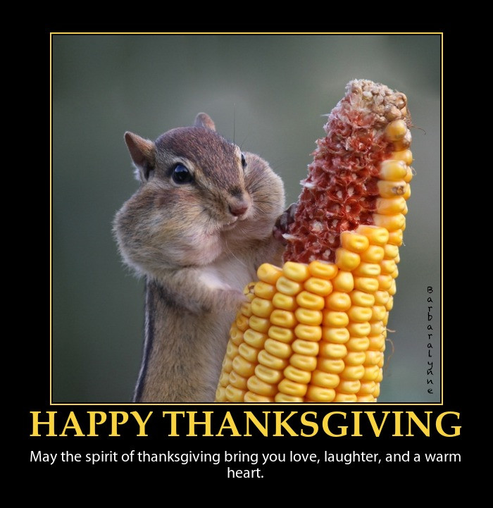 Thanksgiving Quotes Hilarious
 To All You… Happy Thanksgiving – Rhys Ford