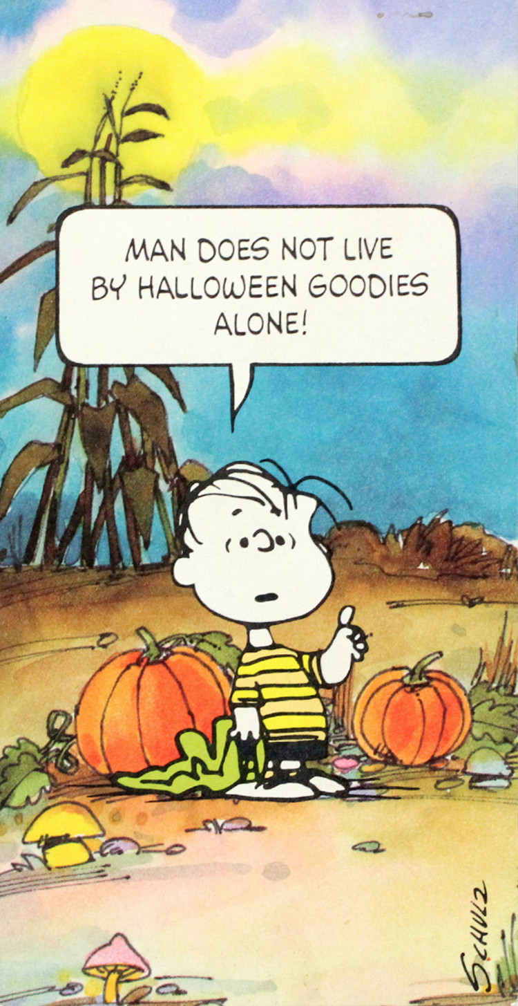 Thanksgiving Quotes Peanuts
 Peanuts Thanksgiving Quotes QuotesGram