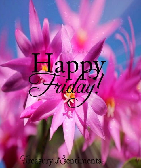 Thanksgiving Quotes Pink
 Pink Happy Friday Flowers s and for