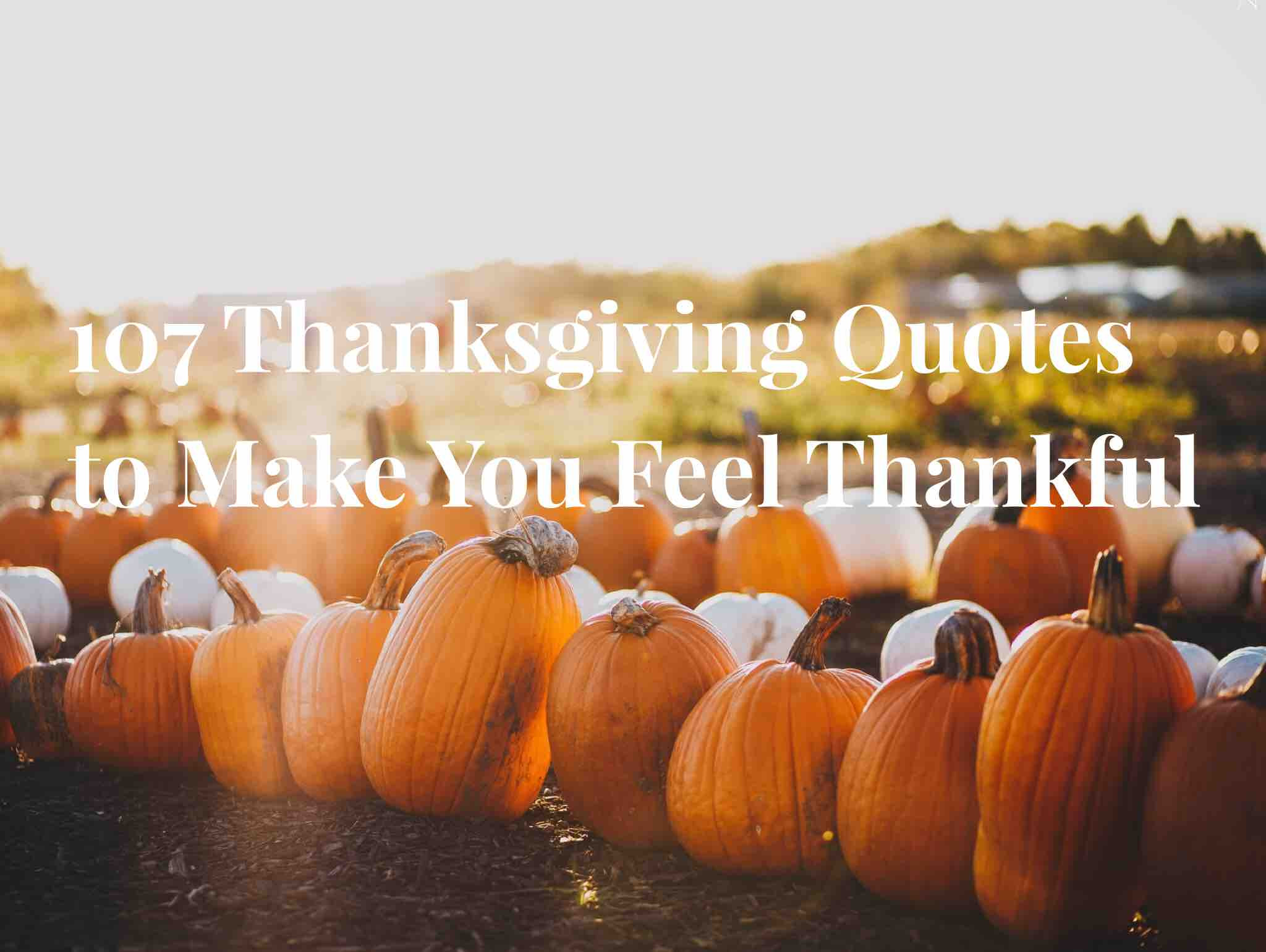 Thanksgiving Quotes Simple
 107 Thanksgiving Quotes to Make You Feel Thankful