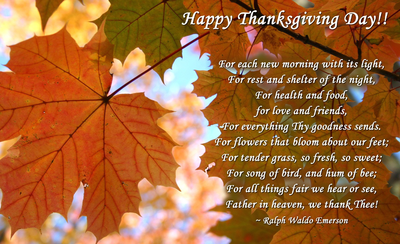 Thanksgiving Quotes Thoughts
 Free Happy Thanksgiving Day Quotes Wishes Sayings Prayers