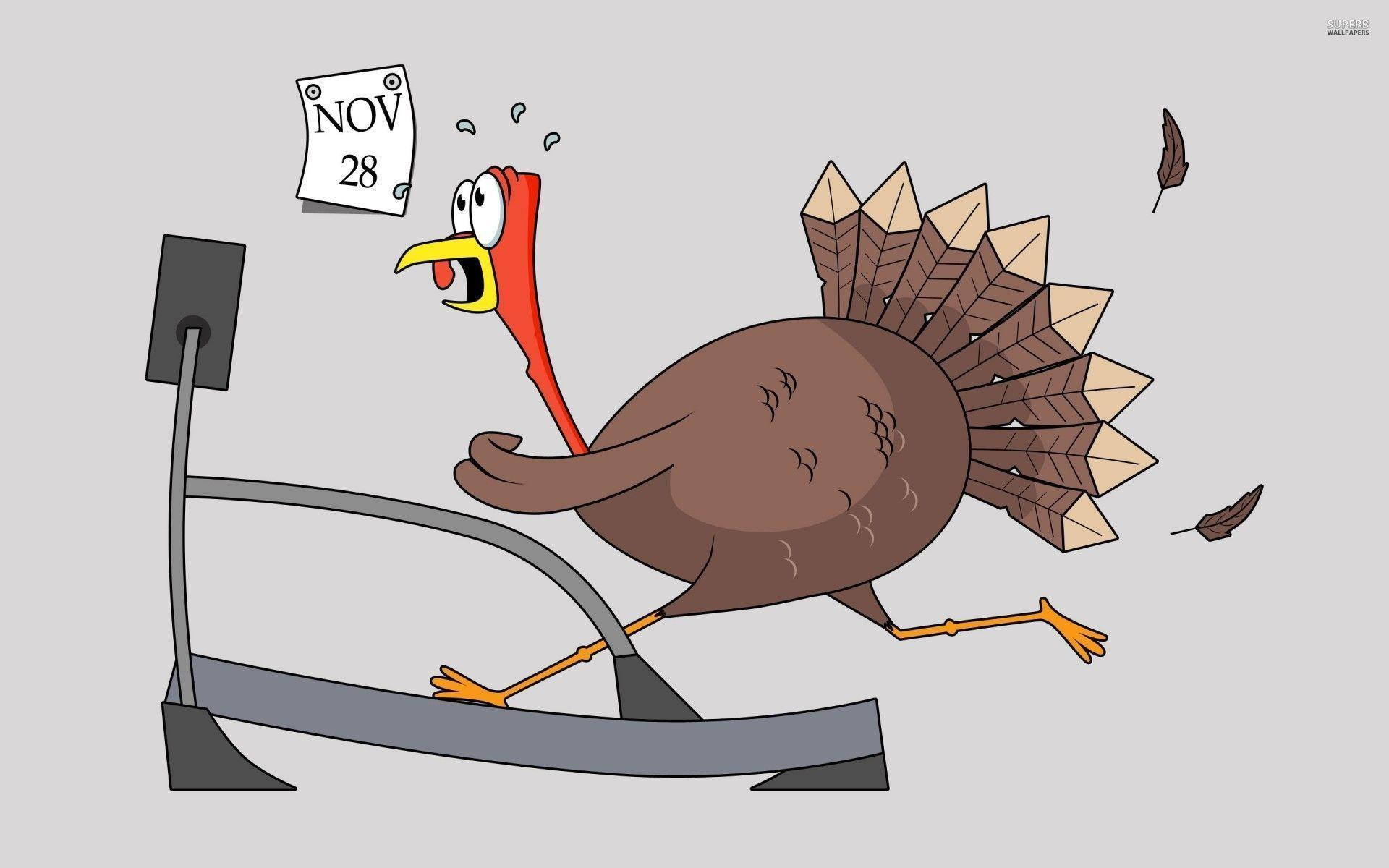 Thanksgiving Turkey Funny
 Funny Thanksgiving Backgrounds Wallpaper Cave