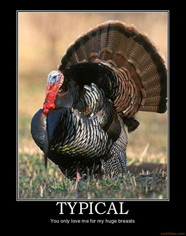 Thanksgiving Turkey Funny
 11 Turkey Memes That Will Get You Ready to Blast Those Birds