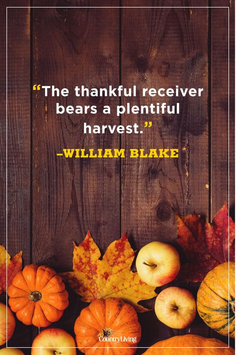 The Office Thanksgiving Quotes
 65 Best Thanksgiving Day Quotes Happy Thanksgiving Toast