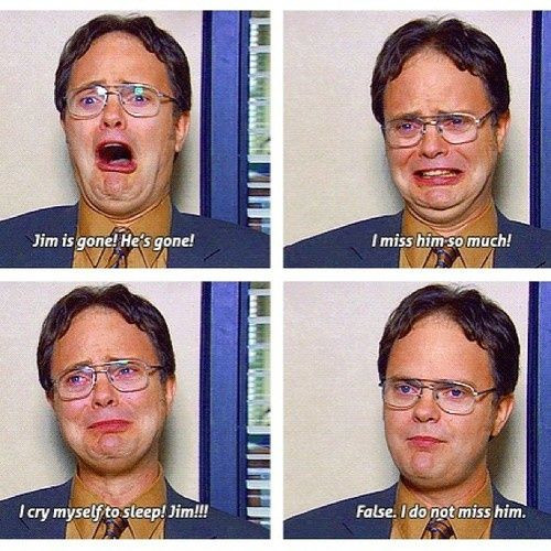 The Office Thanksgiving Quotes
 The fice Dwight Schrute Christmas thanksgiving