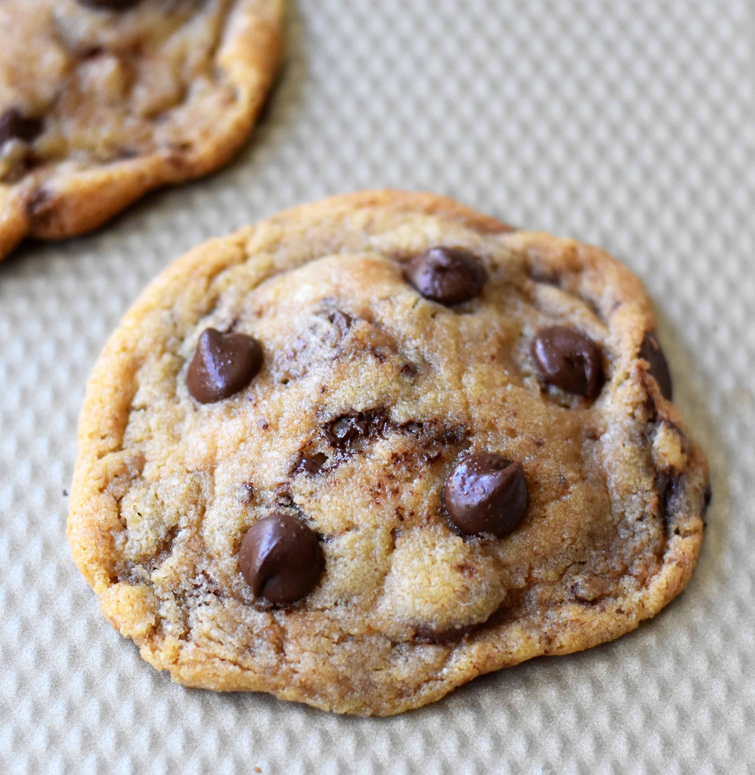 Thin Chocolate Chip Cookies
 Thin and Crispy Chocolate Chip Cookies – Modern Honey