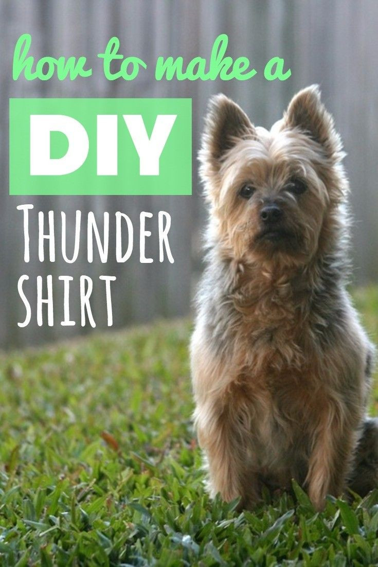 Thunder Wrap For Dogs DIY
 20 the Best Ideas for Thundershirt for Dogs Diy Best