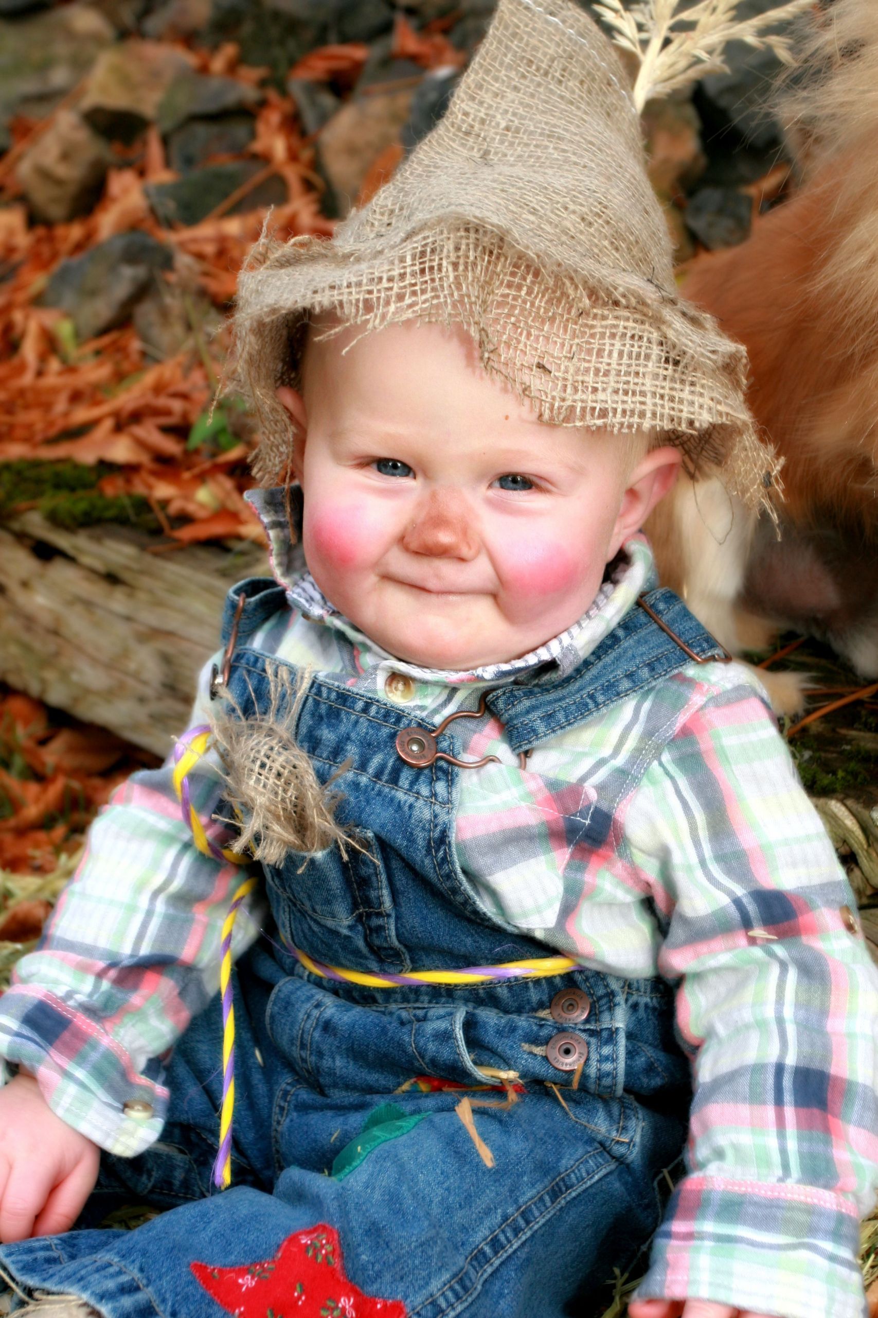 Toddler Scarecrow Costume DIY
 Scarecrow costume for my 6 month old baby boy