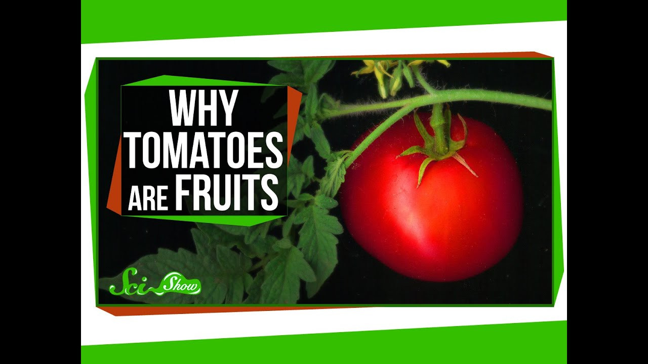 Tomato A Fruit Or Vegetable
 Why Tomatoes Are Fruits and Strawberries Aren t Berries