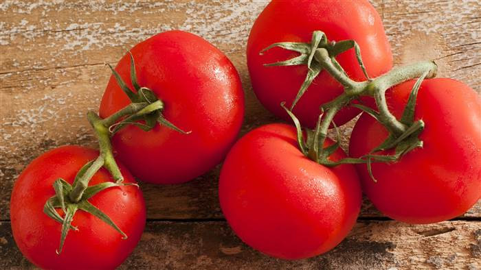 Tomato A Fruit Or Vegetable
 Is a tomato a fruit or a ve able The debate continues