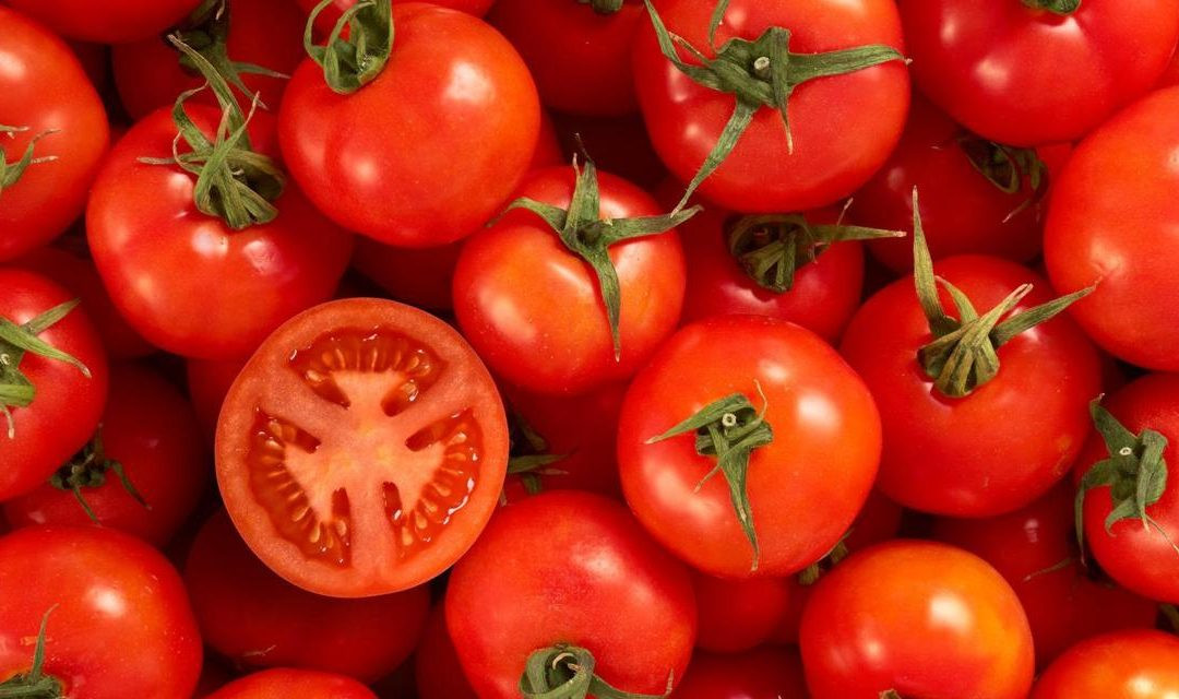 Tomato A Fruit Or Vegetable
 Is a Tomato a Fruit or a Ve able fruitrunner