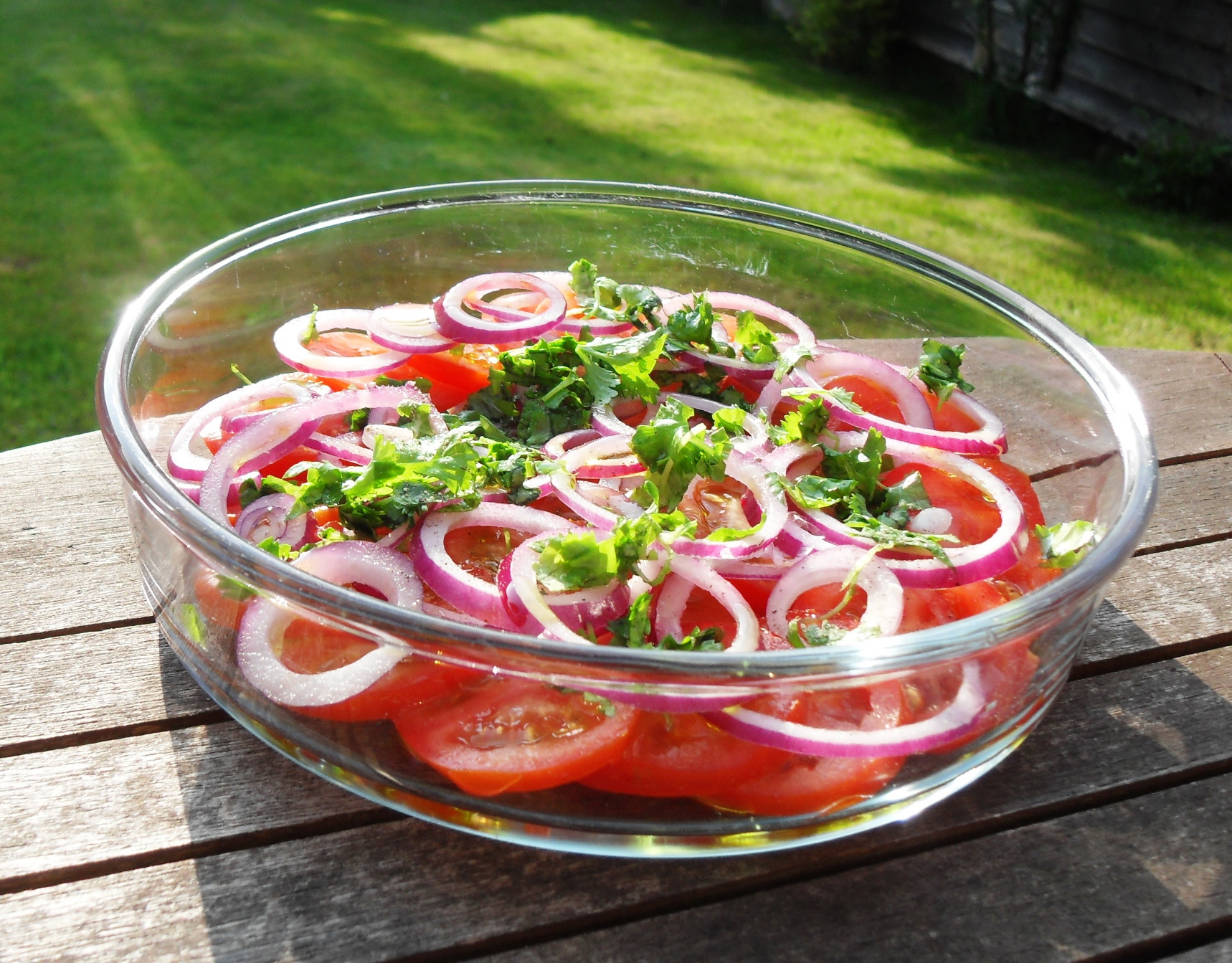 Tomato Onion Salad
 Tomato Red ion & Coriander Salad Fab Food 4 All