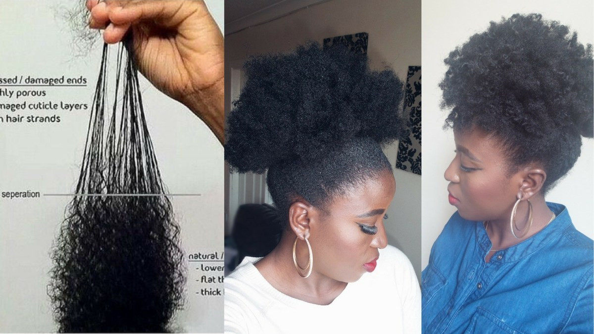Transition To Natural Hairstyles
 HOW TO TRANSITION TO NATURAL HAIR MY TOP TIPS – KENNY OLAPADE
