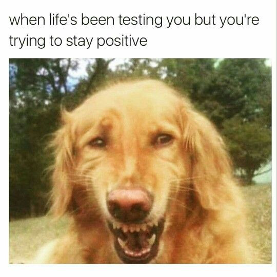 Trying To Stay Positive Quotes
 When life is testing you but you re trying to stay