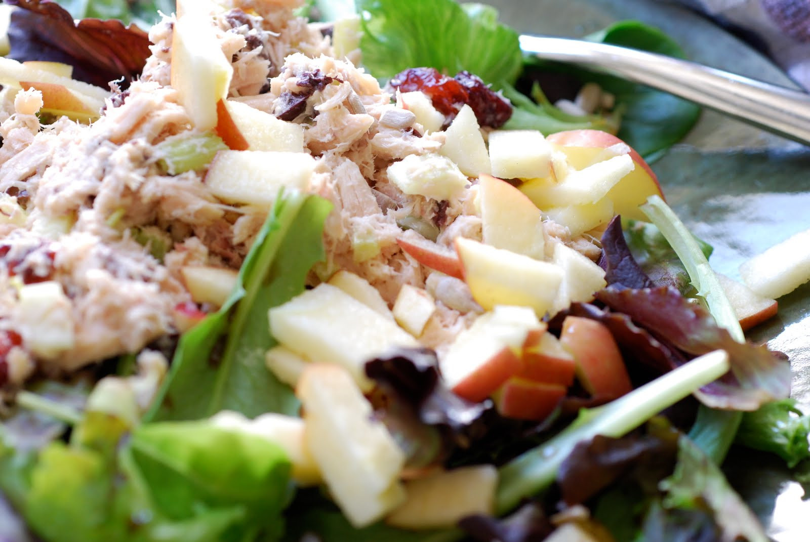 Tuna Fish Salad Recipes
 Recipes Best Tuna Fish Salad
