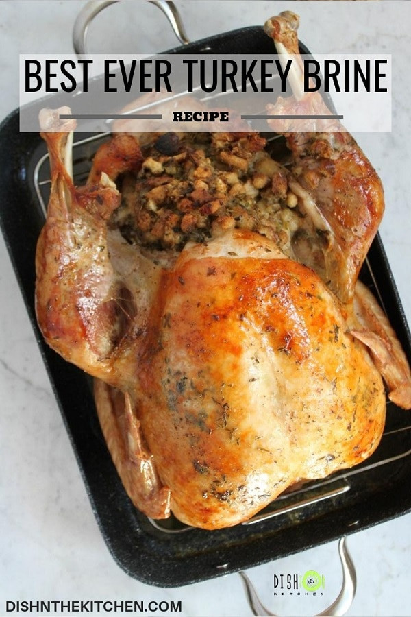 Turkey Brine Recipes
 Best Ever Turkey Brine Recipe Dish n the Kitchen