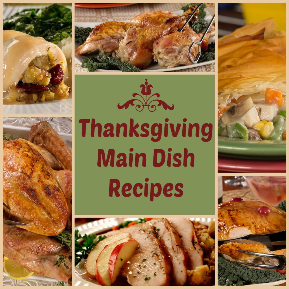 Turkey Main Dishes
 Thanksgiving Main Dishes Recipes 6 Delicious Diabetic
