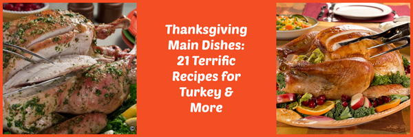 Turkey Main Dishes
 Thanksgiving Main Dishes 21 Terrific Recipes for Turkey