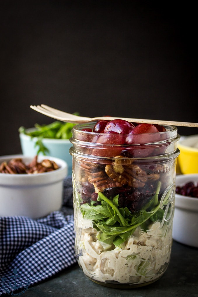 Turkey Salad With Grapes
 Turkey Salad with Grapes Pecans and Cranberries in a Jar
