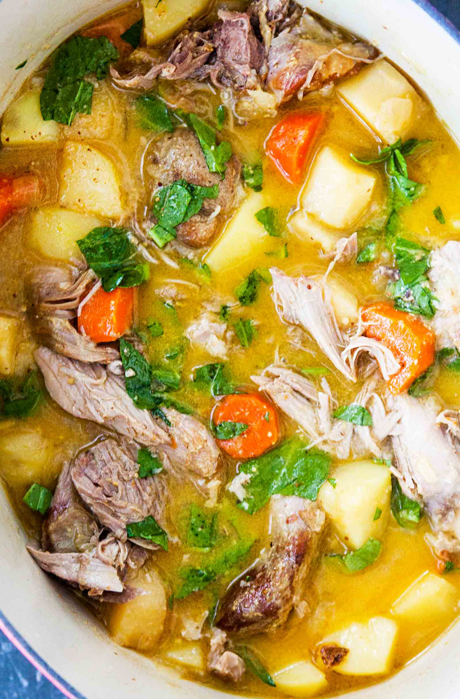 Turkey Stew Recipe
 Slow Cooker Turkey Stew with Mustard and Root Ve ables