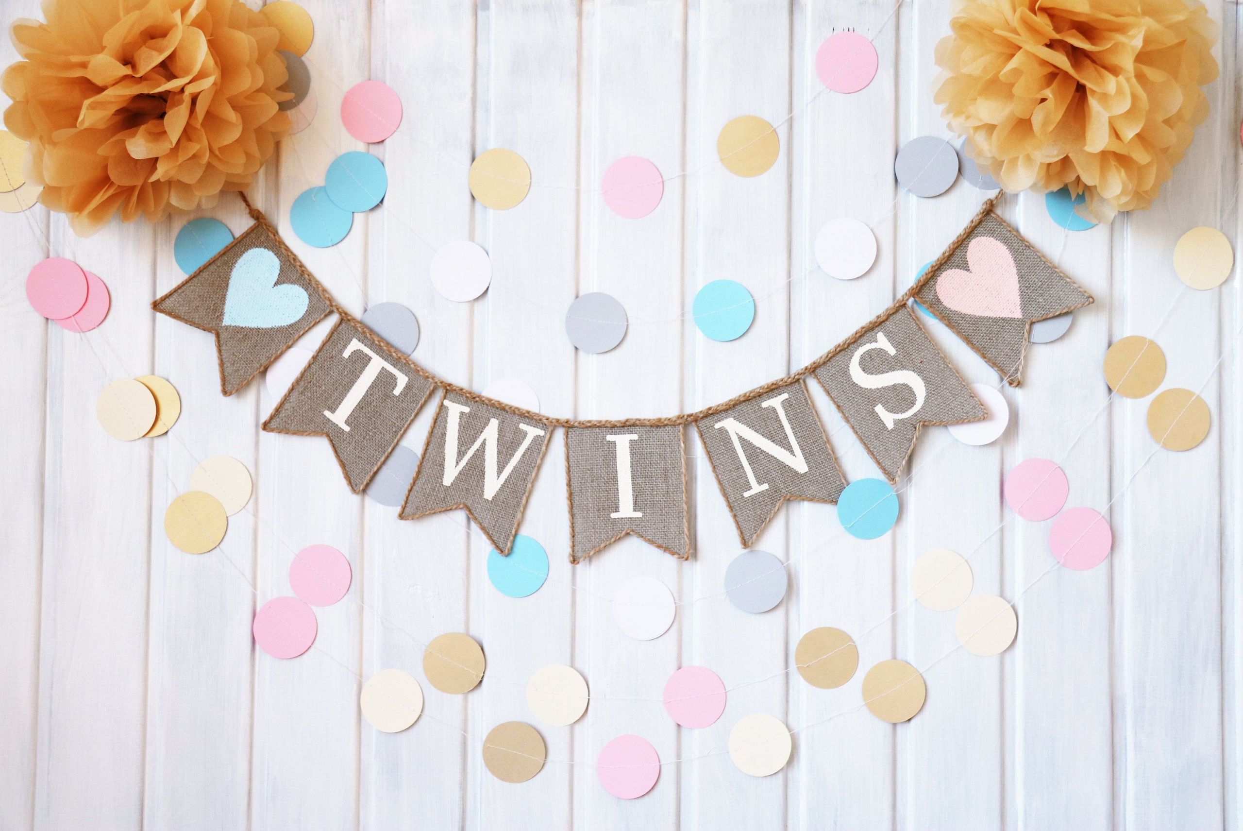 Twin Baby Shower Decoration Ideas
 Twin Baby Shower Themes