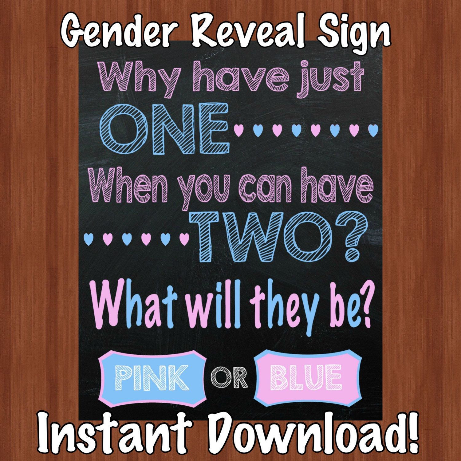 Twin Gender Reveal Party Ideas
 Popular items for gender reveal party on Etsy