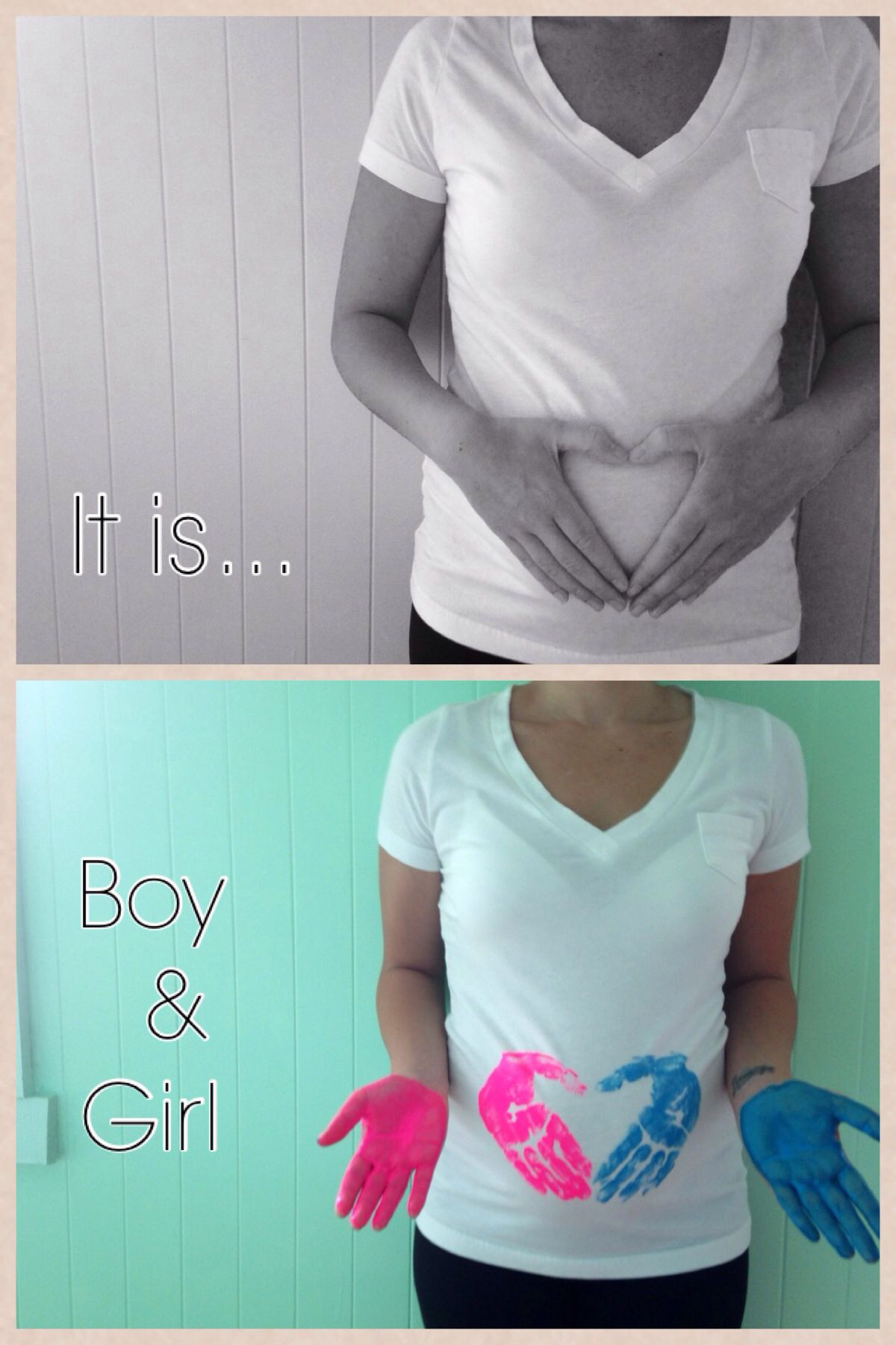 Twin Gender Reveal Party Ideas
 Twins Gender Reveal