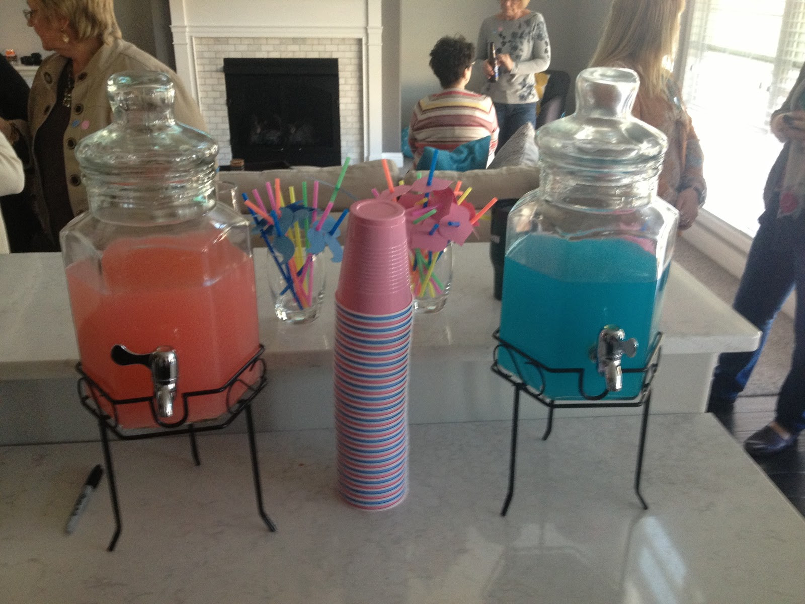 Twin Gender Reveal Party Ideas
 Recently Rimini Our Gender Reveal Party for the Twins