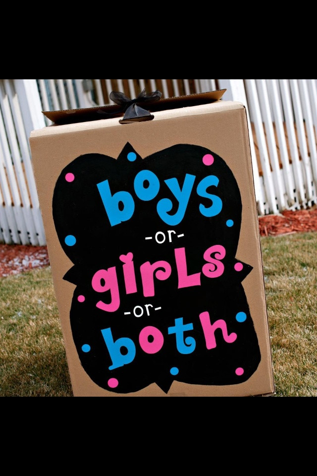 Twins Gender Reveal Party Ideas
 this was my girlfriend s gender reveal box for her twins