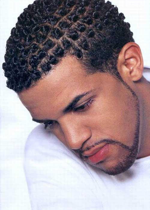 Twists Hairstyles Male
 20 Short Hairstyles for Black Men