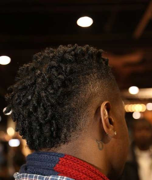 Twists Hairstyles Male
 Afro Twist Hairstyles